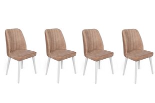 4 tuolin sarja, Asir, vaaleanruskea/valkoinen hinta ja tiedot | Ruokapöydän tuolit | hobbyhall.fi