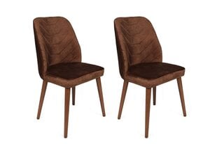 4 tuolin setti, Asir, 50x90x49 cm, ruskea hinta ja tiedot | Ruokapöydän tuolit | hobbyhall.fi