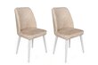 4 tuolin setti, Asir, 50x90x49 cm, beige/valkoinen hinta ja tiedot | Ruokapöydän tuolit | hobbyhall.fi