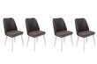 4-osainen tuolisarja, Asir, 50x90x49 cm, tummanharmaa/valkoinen hinta ja tiedot | Ruokapöydän tuolit | hobbyhall.fi