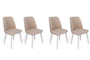 4 tuolin setti, Asir, 50x90x49 cm, pinkki/valkoinen hinta ja tiedot | Ruokapöydän tuolit | hobbyhall.fi