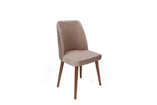 4 tuolin setti, Asir, 50x90x49 cm, beige/ruskea hinta ja tiedot | Ruokapöydän tuolit | hobbyhall.fi