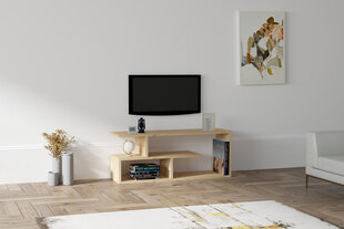 TV-taso, Asir, 100x40x29,6 cm, beige hinta ja tiedot | TV-tasot | hobbyhall.fi