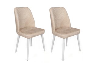 Tuolisarja (2 osaa), Asir, 50x90x49 cm, beige/valkoinen hinta ja tiedot | Ruokapöydän tuolit | hobbyhall.fi