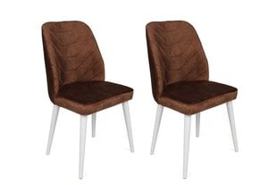 Tuolisarja (2 osaa), Asir, 50x90x49 cm, ruskea/valkoinen hinta ja tiedot | Ruokapöydän tuolit | hobbyhall.fi