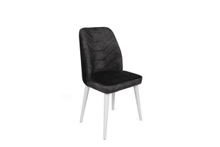 Tuolisarja (2 osaa), Asir, 50x90x49 cm, tummanharmaa/valkoinen hinta ja tiedot | Ruokapöydän tuolit | hobbyhall.fi