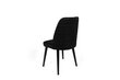 Tuolisarja (2 osaa), Asir, 50x90x49 cm, musta hinta ja tiedot | Ruokapöydän tuolit | hobbyhall.fi