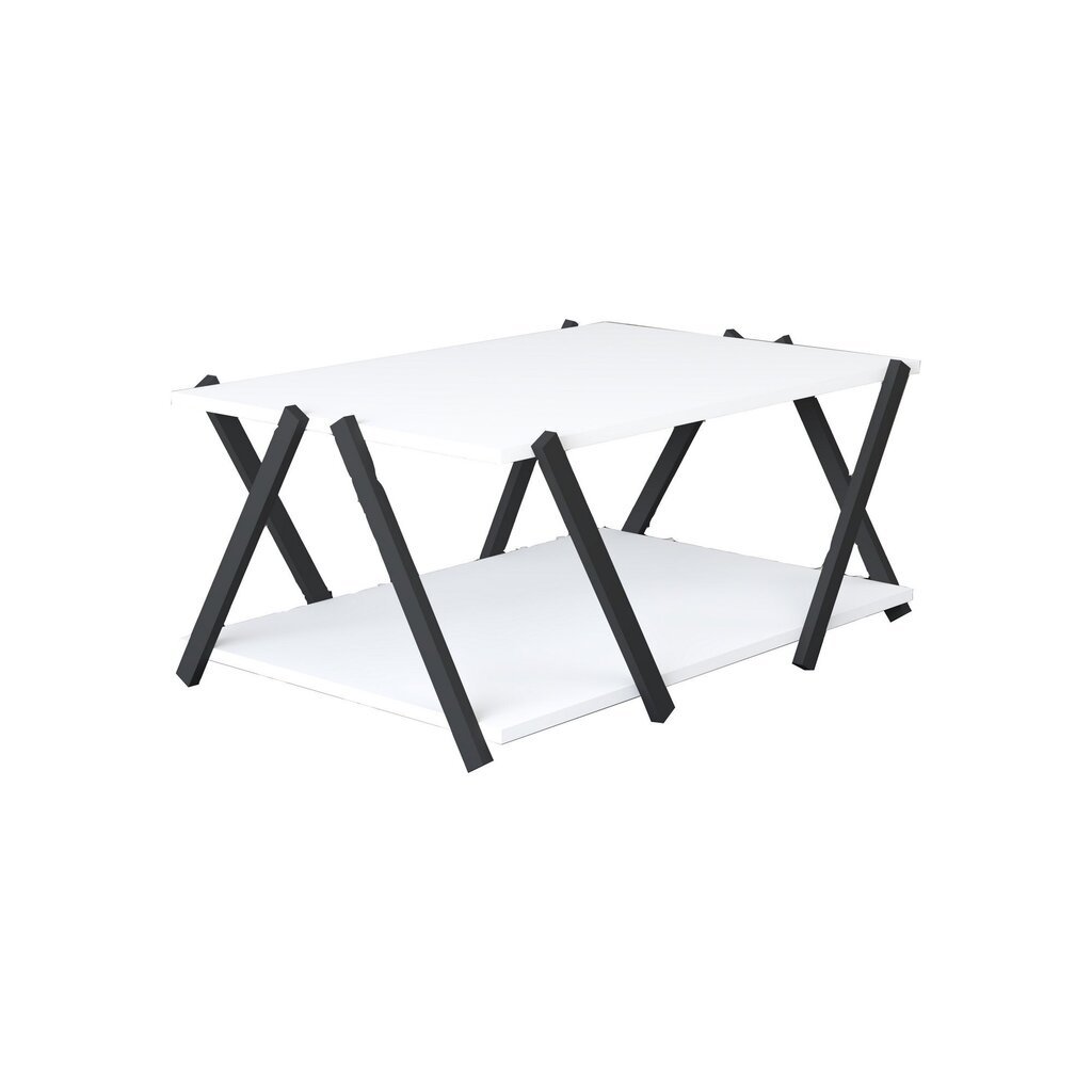 Sohvapöytä, Asir, 93,6x63,6x41,2 cm, harmaa/valkoinen hinta ja tiedot | Sohvapöydät | hobbyhall.fi