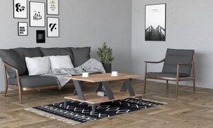 Sohvapöytä, Asir, 100x60x40 cm, harmaa/vaaleanruskea hinta ja tiedot | Sohvapöydät | hobbyhall.fi