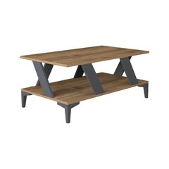 Sohvapöytä, Asir, 100x60x40 cm, harmaa/tummanruskea hinta ja tiedot | Sohvapöydät | hobbyhall.fi