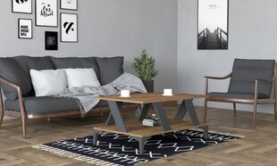 Sohvapöytä, Asir, 100x60x40 cm, harmaa/tummanruskea hinta ja tiedot | Sohvapöydät | hobbyhall.fi