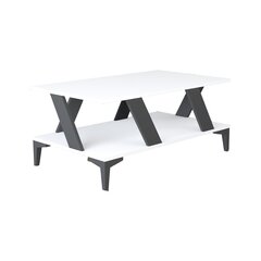 Sohvapöytä, Asir, 100x60x40 cm, harmaa/valkoinen hinta ja tiedot | Sohvapöydät | hobbyhall.fi