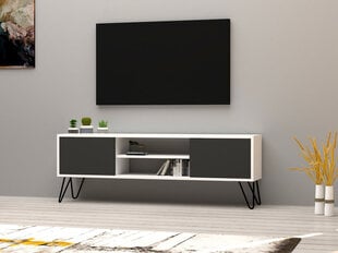 TV-taso, Asir, 140x50x30 cm, harmaa/valkoinen hinta ja tiedot | TV-tasot | hobbyhall.fi