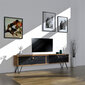 TV-taso, Asir, 160x45x29,6 cm, ruskea/musta hinta ja tiedot | TV-tasot | hobbyhall.fi