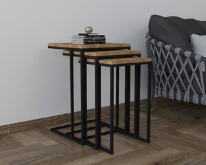 3-osainen pöytäsetti, Asir, 40x61,8x40 cm, ruskea/musta hinta ja tiedot | Sohvapöydät | hobbyhall.fi
