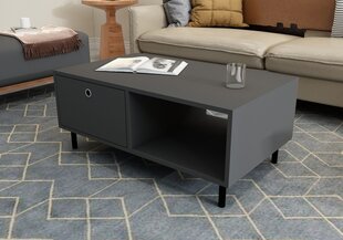 Sohvapöytä, Asir, 100x43x60 cm, harmaa hinta ja tiedot | Sohvapöydät | hobbyhall.fi
