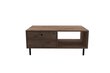 Sohvapöytä, Asir, 100x43x60 cm, vaaleanruskea hinta ja tiedot | Sohvapöydät | hobbyhall.fi