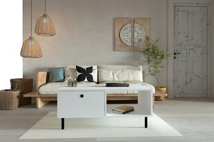 Sohvapöytä, Asir, 100x43x60 cm, valkoinen hinta ja tiedot | Sohvapöydät | hobbyhall.fi