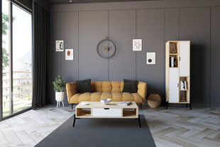 Sohvapöytä, Asir, 100x28,2x50 cm, beige/valkoinen hinta ja tiedot | Sohvapöydät | hobbyhall.fi
