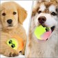 Tennispallo koirille 5 kpl. hinta ja tiedot | Koiran lelut | hobbyhall.fi