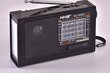 Radioasema aurinkokennolla BT-1520S hinta ja tiedot | Kelloradiot ja herätyskellot | hobbyhall.fi