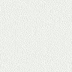 Valkoinen PVC keinonahka 140x500cm hinta ja tiedot | Forrestdecor Huonekalujen lisätarvikkeet | hobbyhall.fi