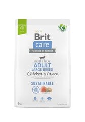 Brit Care Sustainable Adult Large Breed Chicken&Insect koiranruoka 3kg hinta ja tiedot | Koiran kuivaruoka | hobbyhall.fi