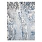 FLHF matto Elija Abstract 4 240x350 cm hinta ja tiedot | Isot matot | hobbyhall.fi