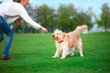 Interaktiivinen koiran lelu Doggy Liker Cord, 5 cm, oranssi hinta ja tiedot | Koiran lelut | hobbyhall.fi