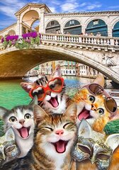 Puinen palapeli Wooden City Cats Venetsia, 200 palaa hinta ja tiedot | Palapelit | hobbyhall.fi