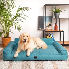 Peti Doggy Glamour, erikokoisia, sininen hinta ja tiedot | Pedit ja pesät | hobbyhall.fi