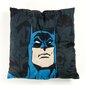 Koiran maja Batman, 40 x 45 cm hinta ja tiedot | Pedit ja pesät | hobbyhall.fi