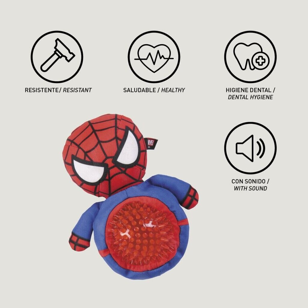 Lelu koirille Spiderman, punainen hinta ja tiedot | Koiran lelut | hobbyhall.fi