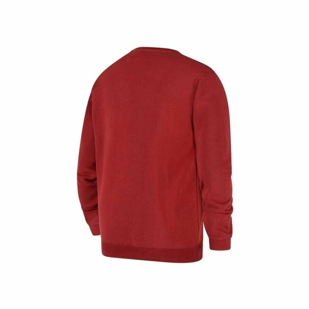 Crewneck sweatshirt champion legacy miehet red 218288rs506 hinta ja tiedot | Miesten puserot ja hupparit | hobbyhall.fi