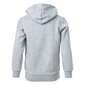 Hooded full zip sweatshirt champion legacy poika grey 306170em006 306170EM006 hinta ja tiedot | Poikien puserot, liivit ja jakut | hobbyhall.fi
