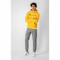 Hooded sweatshirt champion legacy miehet yellow 218282ys113 hinta ja tiedot | Miesten hupparit ja collegepaidat | hobbyhall.fi