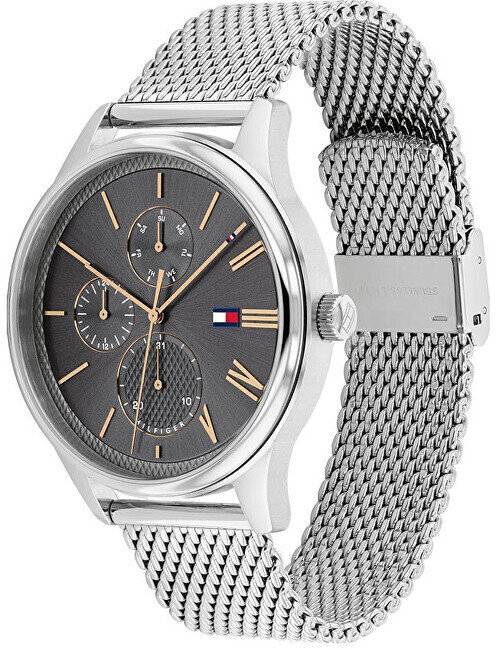 Tommy Hilfiger Miesten Kello 1791846 damon + laatikko hinta ja tiedot | Miesten kellot | hobbyhall.fi