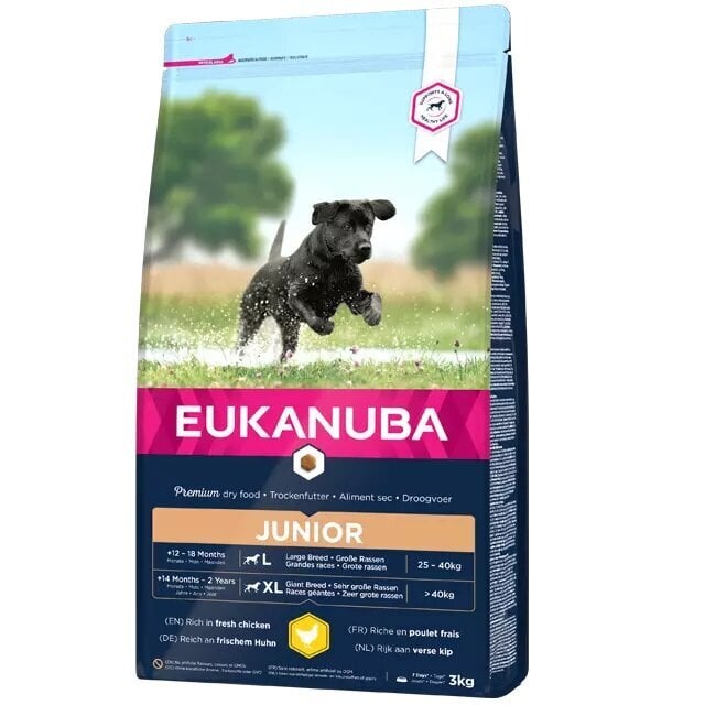 Eukanuba Developing Junior Large Breed koirille kanalla, 3 kg hinta ja tiedot | Koiran kuivaruoka | hobbyhall.fi