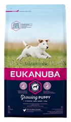 Eukanuba Growing Puppy Small Breed pienikokoisille koirille kanalla, 2 kg hinta ja tiedot | Koiran kuivaruoka | hobbyhall.fi