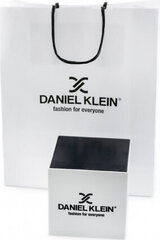 Daniel Klein kello 11914a-2 (zl501c) + laatikko hinta ja tiedot | Naisten kellot | hobbyhall.fi