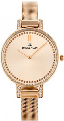 Daniel Klein kello 12177-3 (zl502d) + laatikko hinta ja tiedot | Naisten kellot | hobbyhall.fi