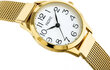 Pacific Naisten kello x6131-02, ehtoollinen verkkokalvo (zy648a) hinta ja tiedot | Naisten kellot | hobbyhall.fi
