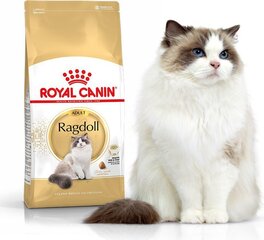 Royal Canin kissarodut Adult, 0,4 kg hinta ja tiedot | Kissan kuivaruoka | hobbyhall.fi