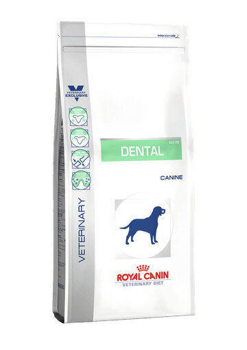 Royal Canin Dog Dental aikuisille koirille, 13 kg hinta ja tiedot | Koiran kuivaruoka | hobbyhall.fi