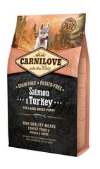 Carnilove Salmon&Turkey lohella ja kalkkunalla, isojen rotujen koiranpennuille, 4 kg hinta ja tiedot | Koiran kuivaruoka | hobbyhall.fi