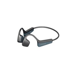 Langattomat kuulokkeet Langsdom BS17 type-c 11h IPX5 Bluetooth 5.2 hinta ja tiedot | Kuulokkeet | hobbyhall.fi