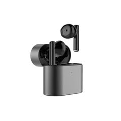 Langattomat kuulokkeet Langsdom TN24 13MM type-c 26h IPX5 Bluetooth 5.0 hifi hinta ja tiedot | Kuulokkeet | hobbyhall.fi