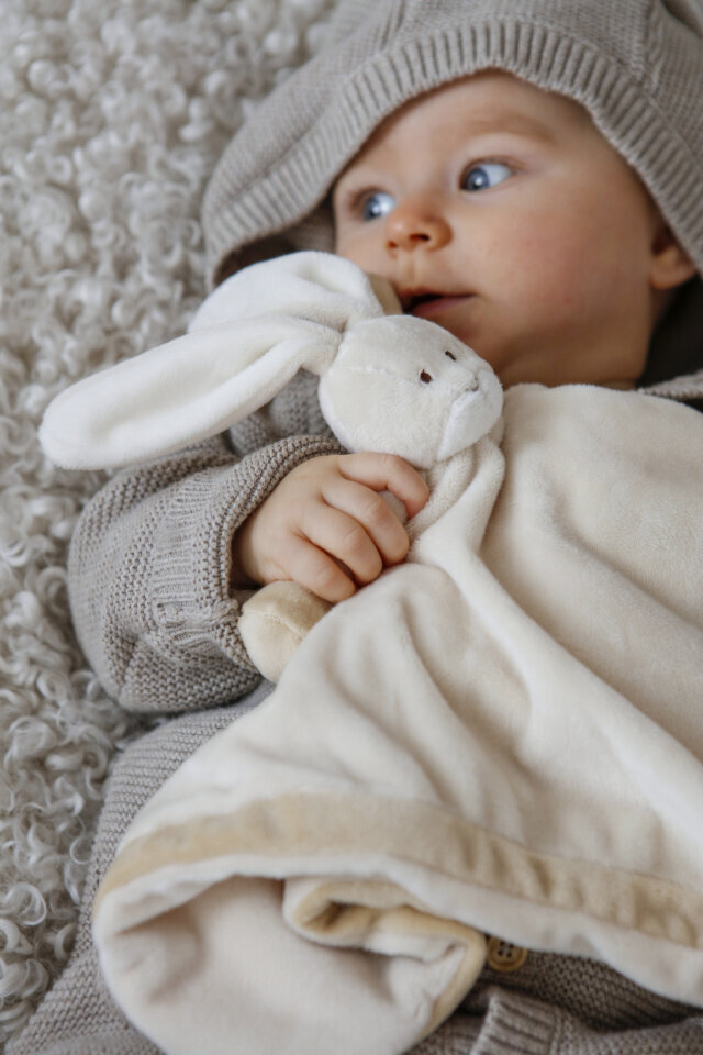 Teddykompaniet-pehmolelu Diinglisar jänis halipeitto, beige, 35 x 35 cm hinta ja tiedot | Vauvan lelut | hobbyhall.fi