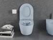 WC-istuin Mexen Lena Rimless Slim Duroplast hitaasti sulkeutuvalla kannella, Grey-blue mat hinta ja tiedot | WC-istuimet | hobbyhall.fi