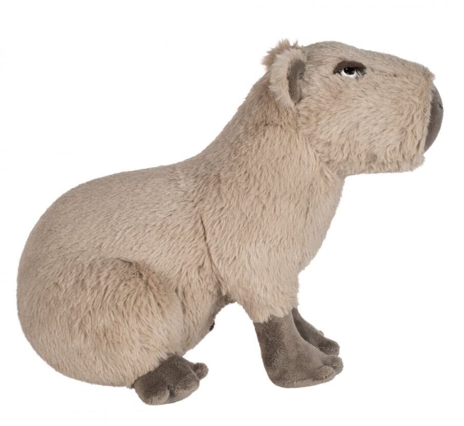 Pehmeä pehmolelu Capybara 20 cm hinta ja tiedot | Pehmolelut | hobbyhall.fi